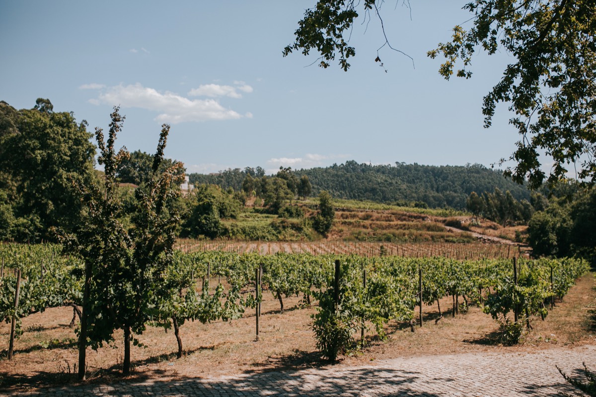 A Quinta da Eira - Detalhes Rústicos
